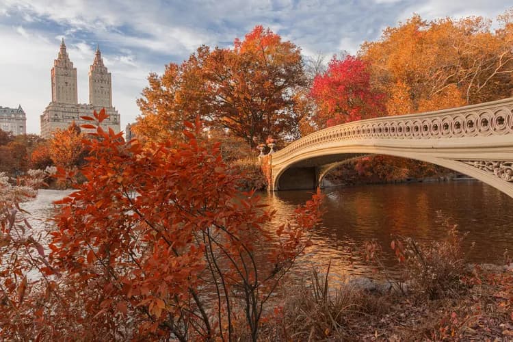 6 Fall Destinations Worth Traveling For 🍂